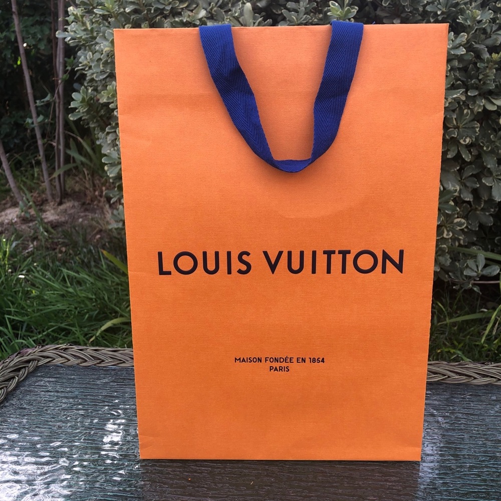 Louis Vuitton shopping bag